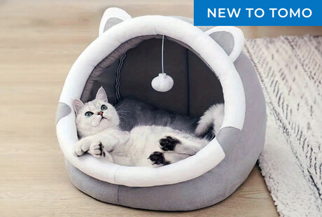 Cats Love This Cozy Hideaway