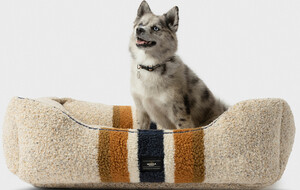 Shinola Pet Beds