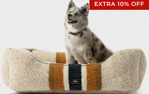 Shinola Pet Beds