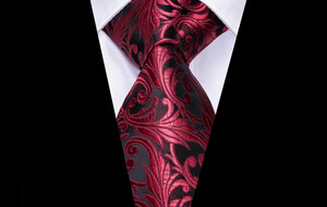 100% Silk Ties