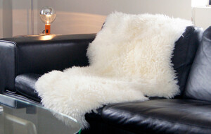 Sheepskin & Cowhide Throws & Pillows