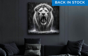 Wildlife Wall Art