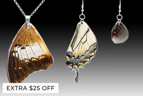 Genuine Butterfly Wing Jewelry