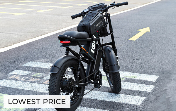 Zypher Z8 E-Bike