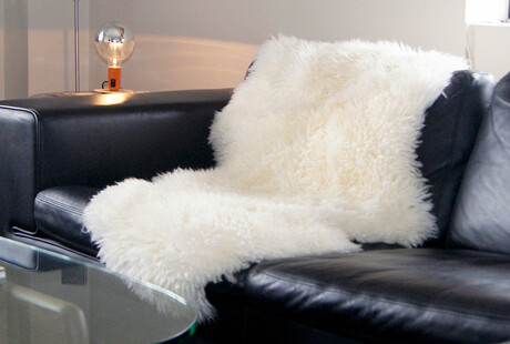 Cowhide Rugs & Pillows