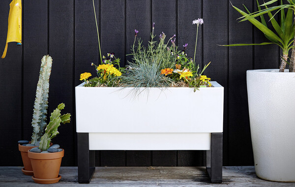 Self-watering Planters
