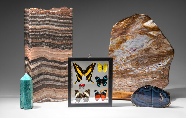 Nature-made Home Decor