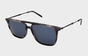 Ferragamo Sunglasses