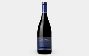 93 Point 2019 Gary Farrell Pinot Noir