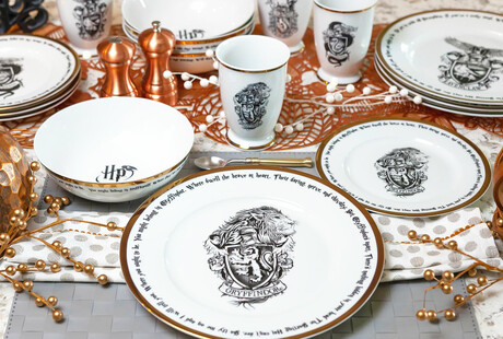 Harry Potter Dinnerware & Decor
