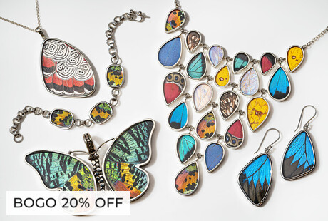 Real Butterfly Wing Jewelry