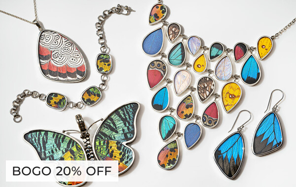 Butterfly Wing Jewelry