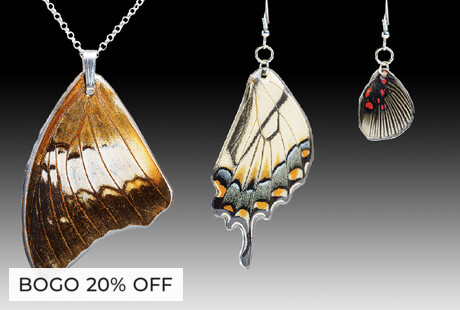 Real Butterfly Wing Jewelry