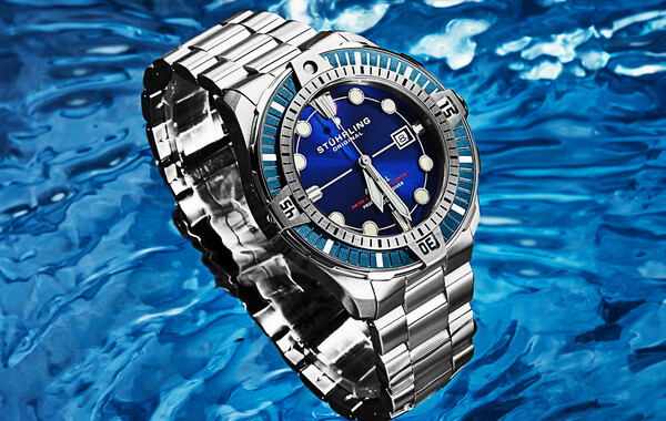 The Watch Vault