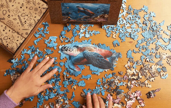 Puzzles With Up To 5000 Pieces