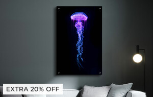Wildlife Wall Art