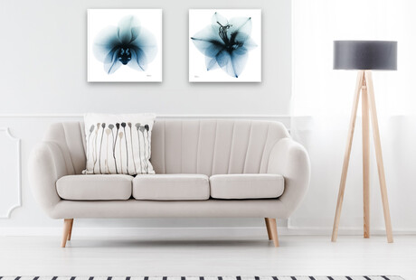 Radiographic Tempered Glass Art
