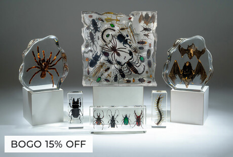 【極美品】NICENESS GOLDBLUM No Other Toys Matter This Week Besides Bare-Chested Jeff
