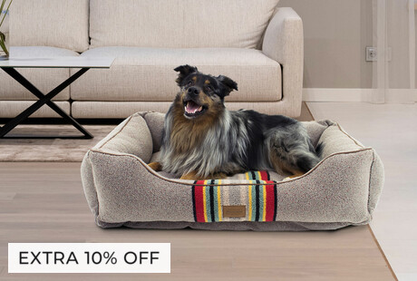 Pamper Your Pup