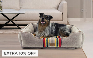 Pendleton Pet Collection