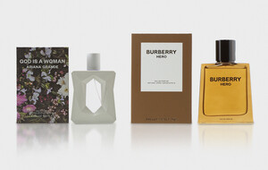 Dolce & Gabbana, Versace, & More