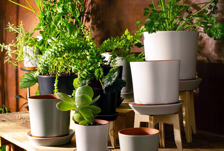 Push Planters