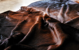 Cowhide Rugs