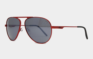 Revo Sunglasses