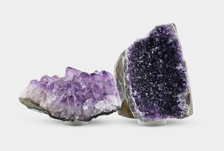 Organic Beauty On Display