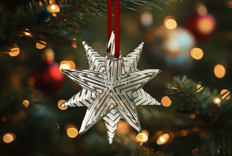 The Sparkle Of The Season