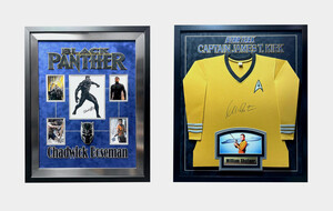 The Hollywood Collection