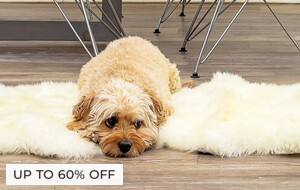 Sheepskin Rugs & Pillows