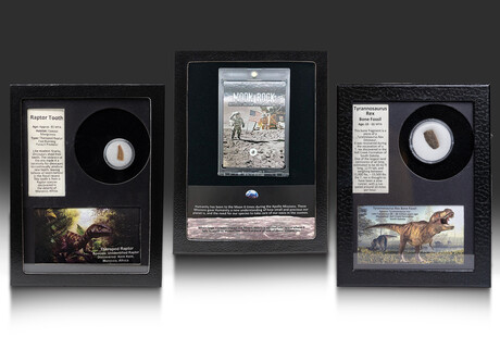 Meteorites & Fossils Collectibles