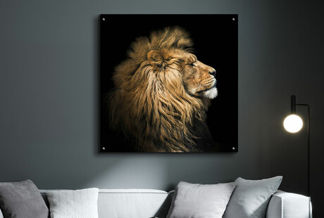 Wildlife In Striking Contrast