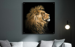 Wildlife Wall Art