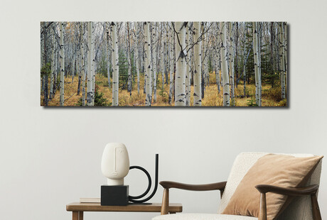 Sweeping Canvas Prints