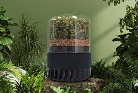 The Power Of 3000 Houseplants