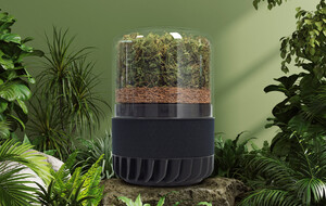 The Power Of 3000 Houseplants