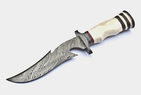 Forged to Survive. Built to Dominate.