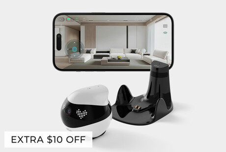 Your AI-powered Robot Pal