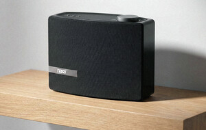 NAS-5001 Multi-Room Speaker 