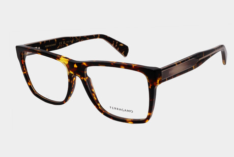 Designer Optical Frames