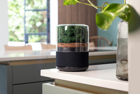 The Power Of 3000 Houseplants