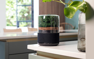 The Power Of 3000 Houseplants