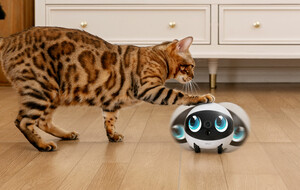 EBO Air 2 and Air 2 Plus