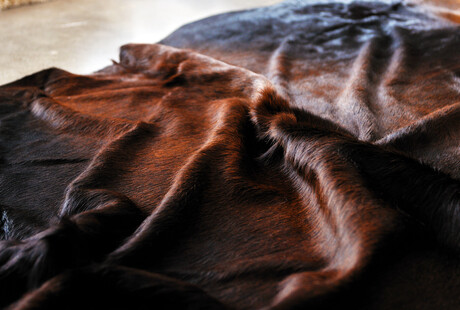 Eclectic Cowhide Rugs