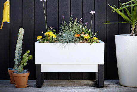 Self-Watering Planters