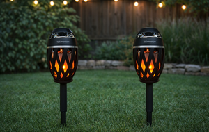 Flame Lamp Speaker Set of 2